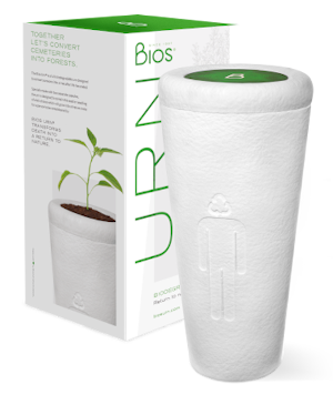 Resonar Amplificador Decano Bios Urn ® - The Biodegradable Urn Designed to Grow a Tree