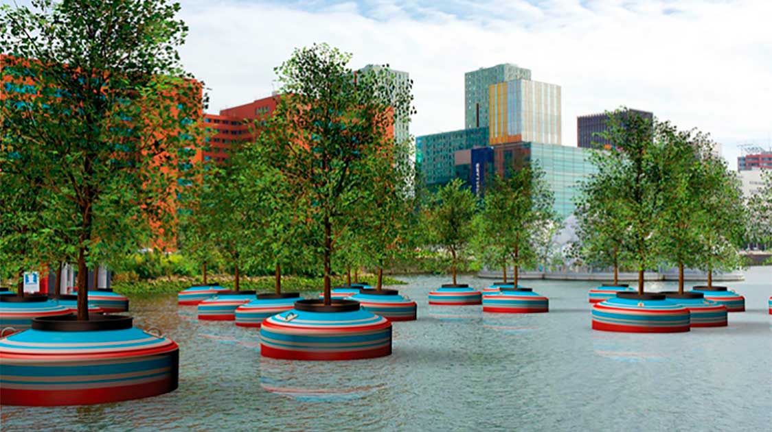 Floating Forest in Rotterdam Features Twenty Live Trees