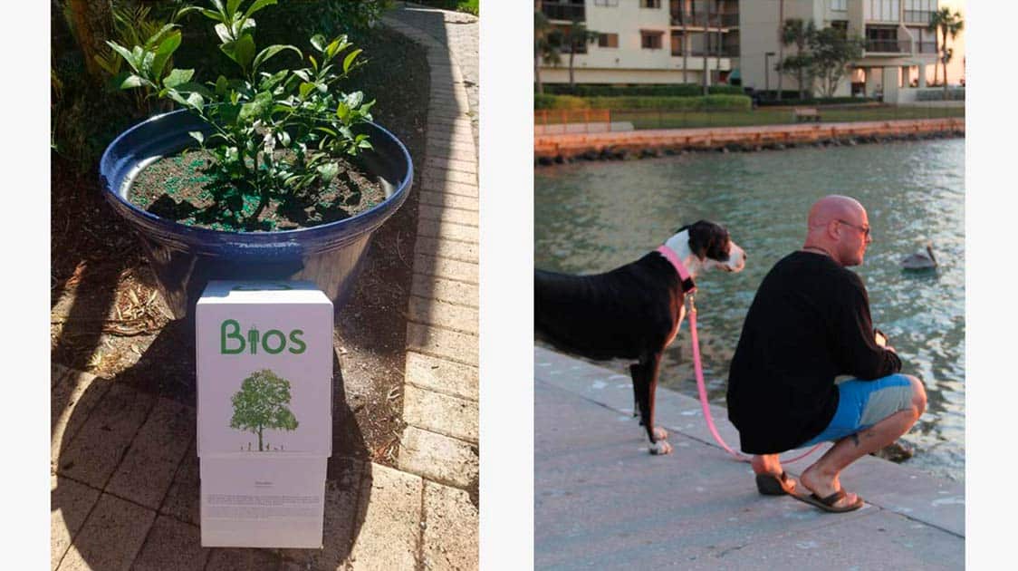 Heidi the Great Dane was planted in a Bios Urn® with a Cocktail Tree