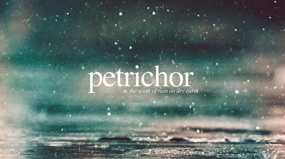  Petrichor Is The Word Used To Describe The Smell Of Rain