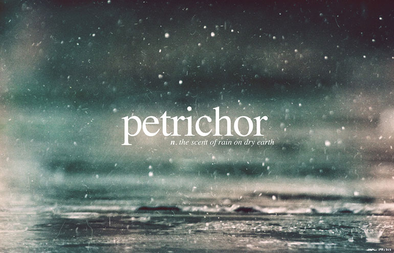Image result for petrichor
