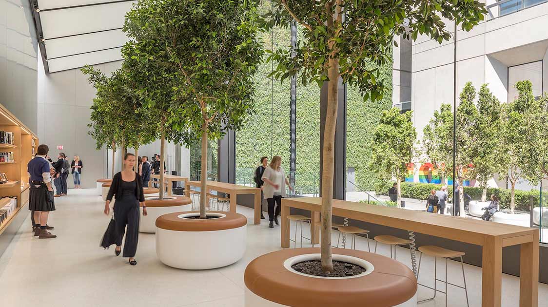 Apple unveils nature-filled, solar-powered future for its retail stores