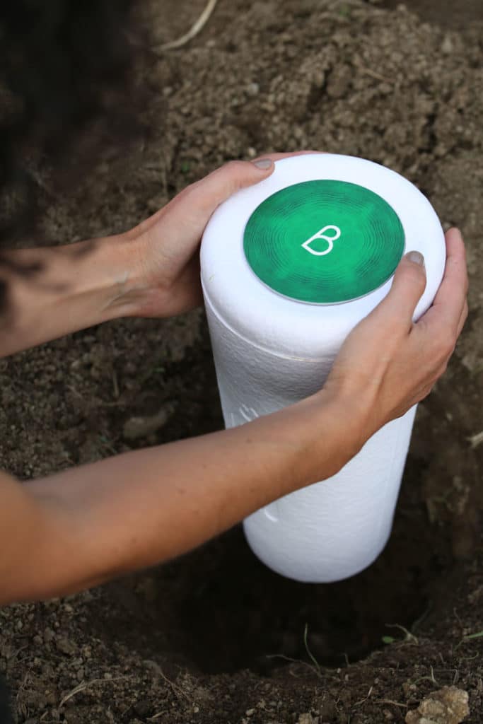 Bios Urn Blog: Instructions on how to plant your biodegradable urn for a tree to grow