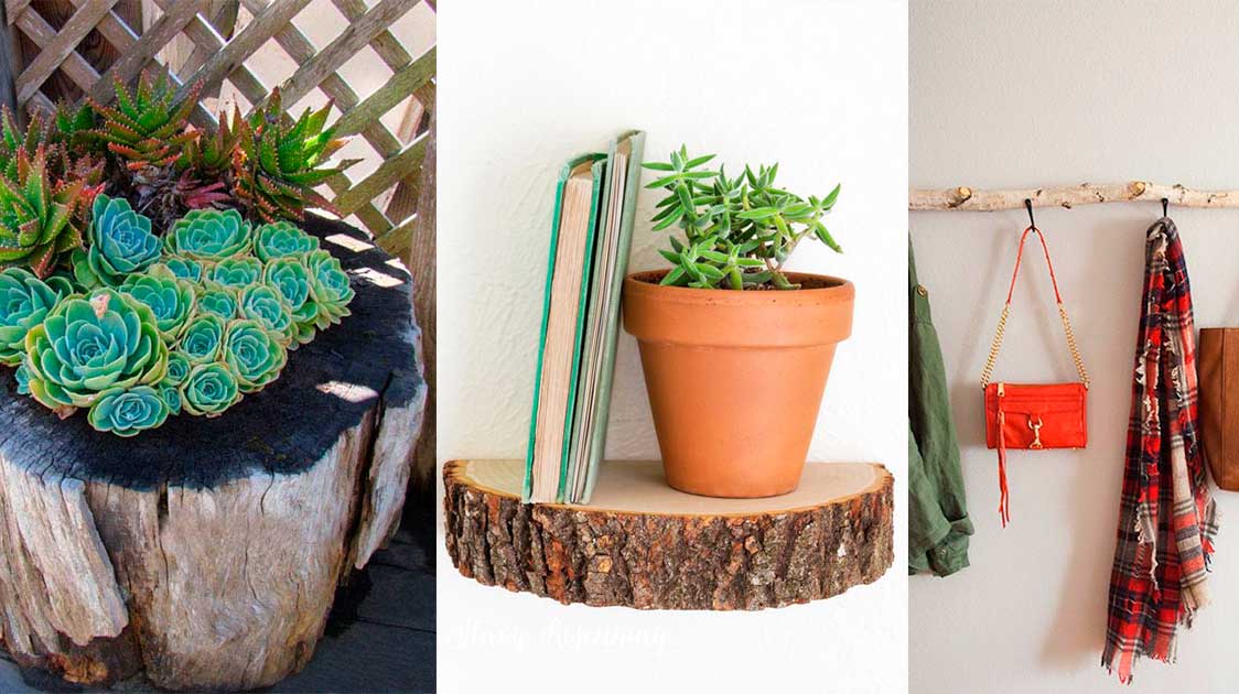 10 Clever things to do with fallen tree branches and tree trunks