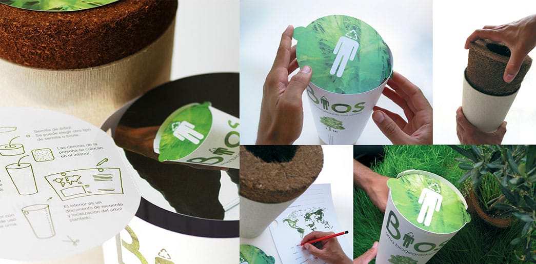 Bios Urn biodegradable urn to grow a tree 