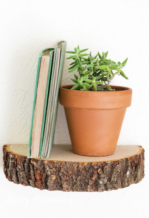 bookshelf made from a wood tree stump
