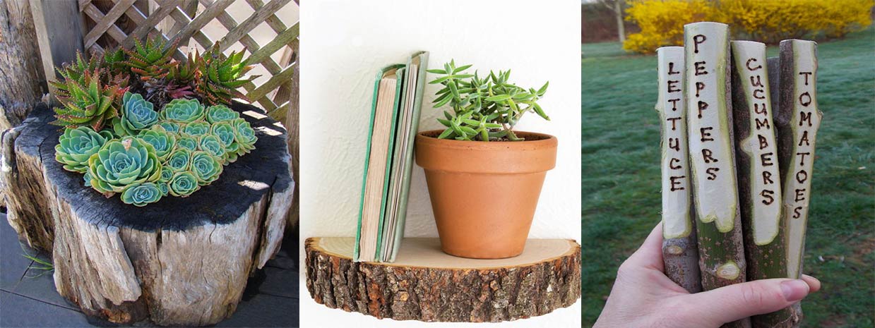 10 Clever Things To Do With Fallen Tree Branches and Tree 