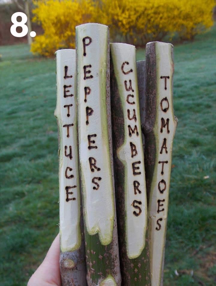 tree branch plant markers