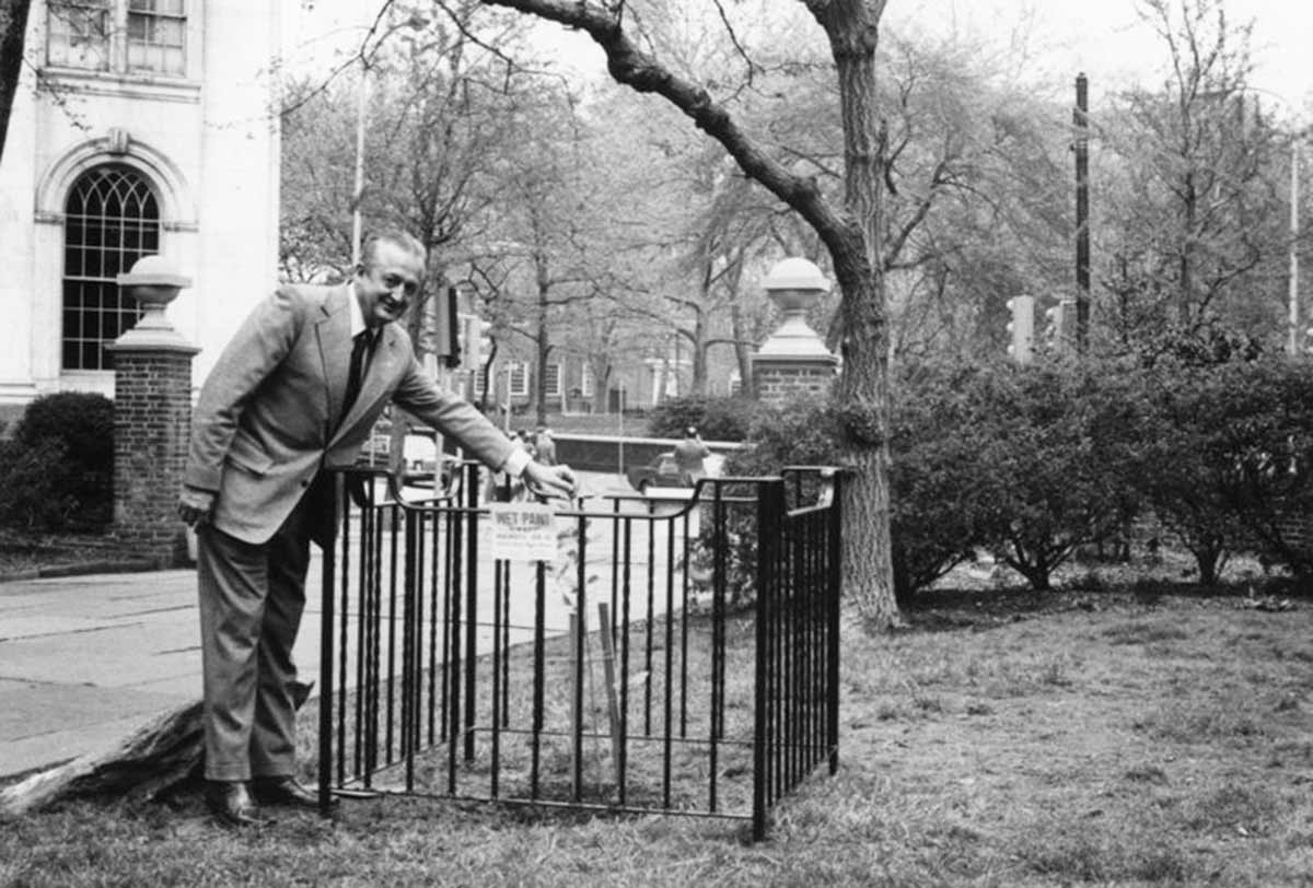 The first Moon Tree, planted in 1975 by George Vitas of the US Forest Service in Washington Square Park, Philadelphia (via Forest History Society)