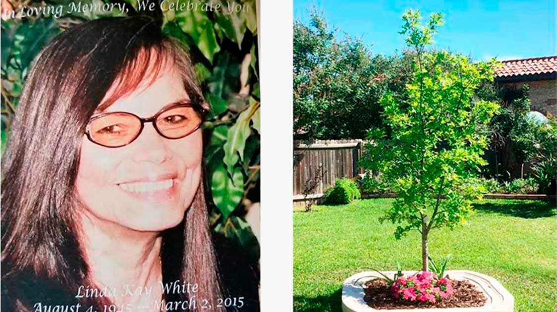 Rhonda ha piantato la Bios Urn® di sua madre con una quercia in giardino