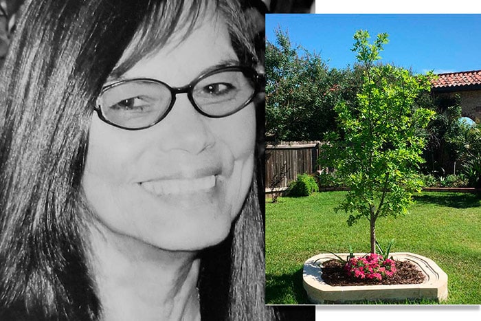 Rhonda Planted Her Mom’s Bios Urn® With An Oak Tree In A Backyard