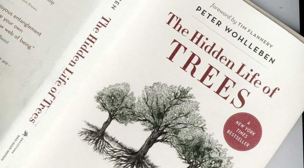 book review the hidden life of trees