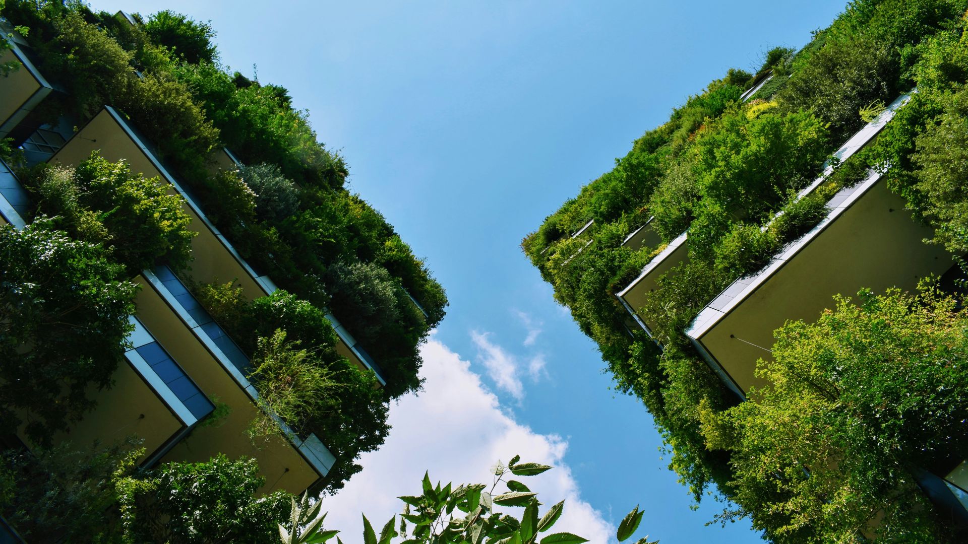 Have you ever seen a Vertical Forest? Discover the Bosco Verticale in Milan!
