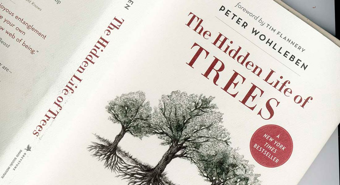 The Hidden Life of Trees: a must-read book