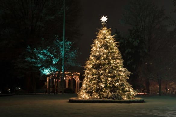 Christmas tree: Find out about the History of Christmas trees