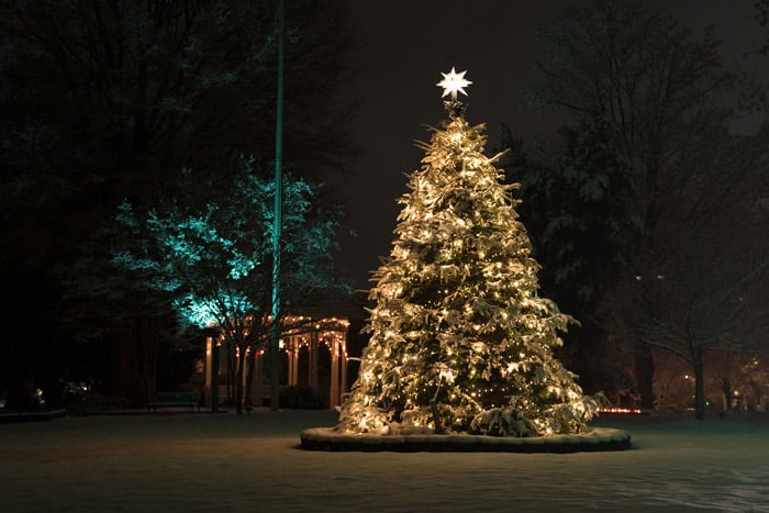 Bios Urn Blog: The History of the Christmas tree