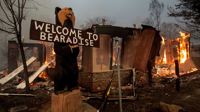 Bios Urn Blog: an emotional testimonial from a victim of the deadly California wildfires in Paradise / incendios forestales