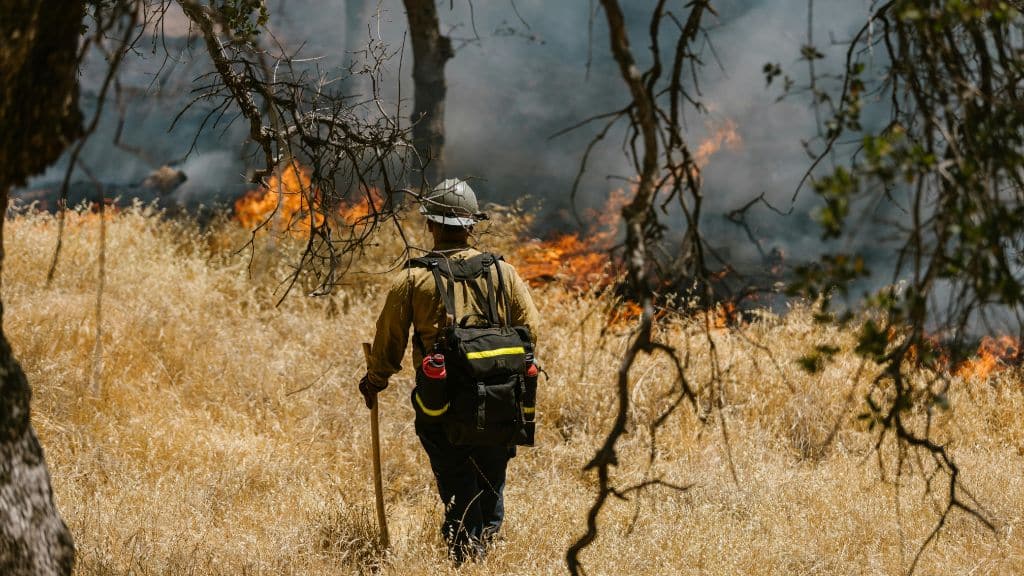 Bios Urn Blog: an emotional testimonial from a victim of the deadly California wildfires in Paradise