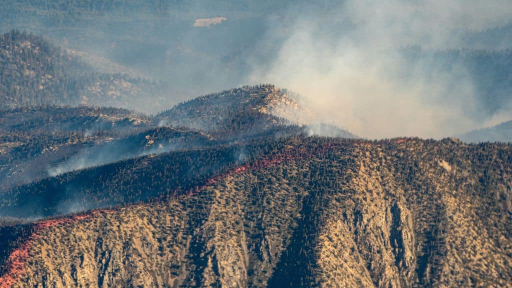 Bios Urn Blog: an emotional testimonial from a victim of the deadly California wildfires in Paradise