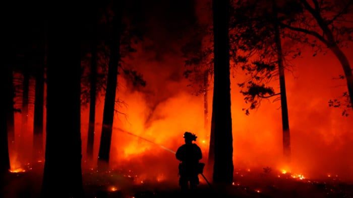 Bios Urn Blog: an emotional testimonial from a victim of the deadly California wildfires in Paradise