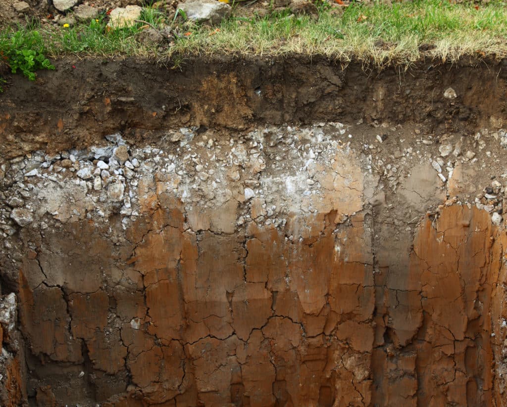 Why soil for tree health is important: Underground soil layers - Bios Urn Blog