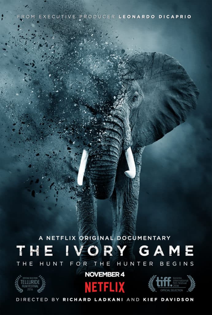 Bios Urn Blog: Best Documentaries about nature - The Ivory Game