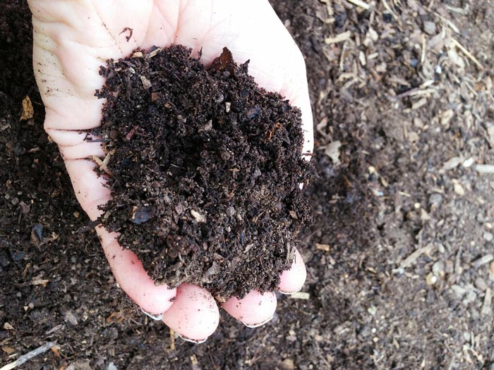 Bios Urn Blog: Human composting / Compost humain