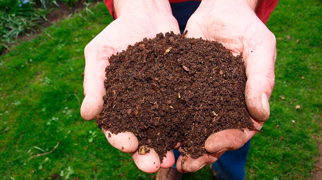 Bios Urn Blog: Human composting