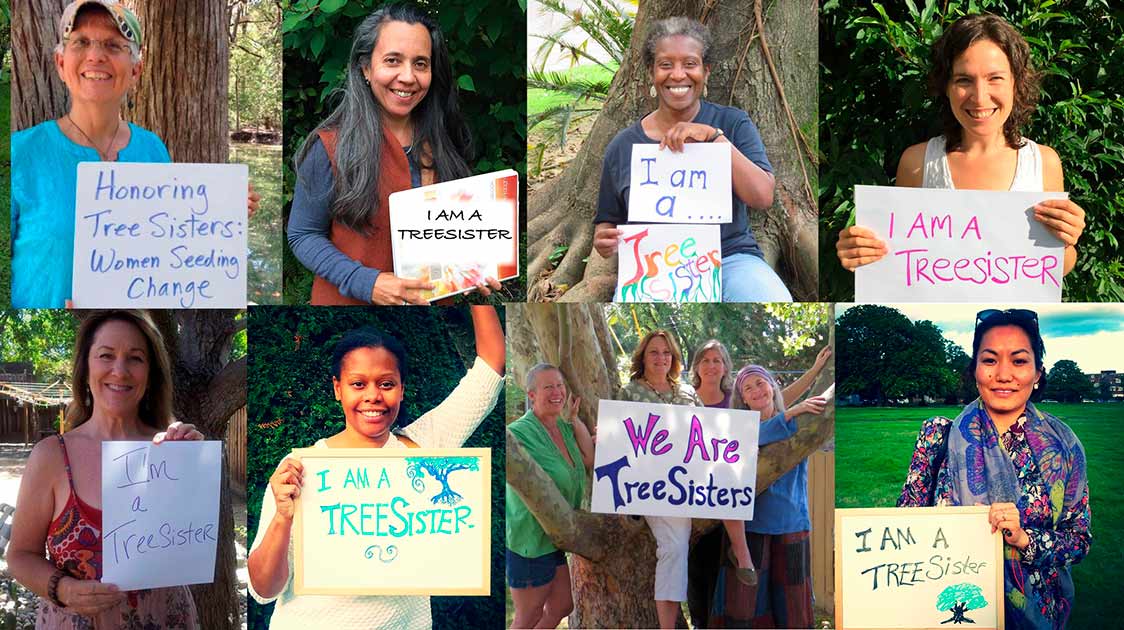 TreeSisters: Inspirando una revolución de reforestación