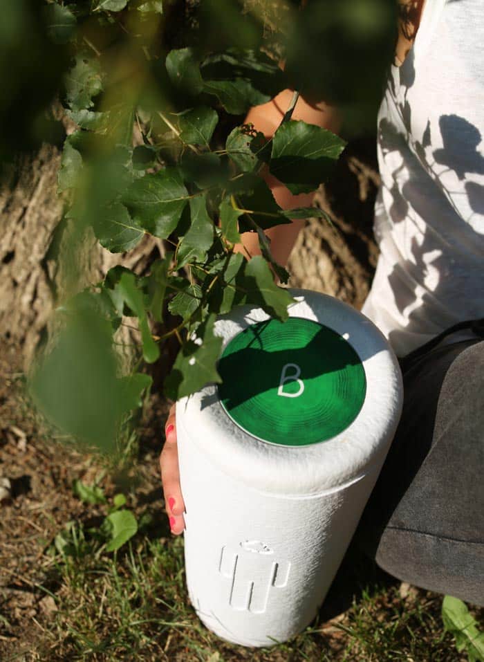 Bios Urn Blog: Cremation is growing and becoming the new norm around the world - Biodegradable urn to plant a tree