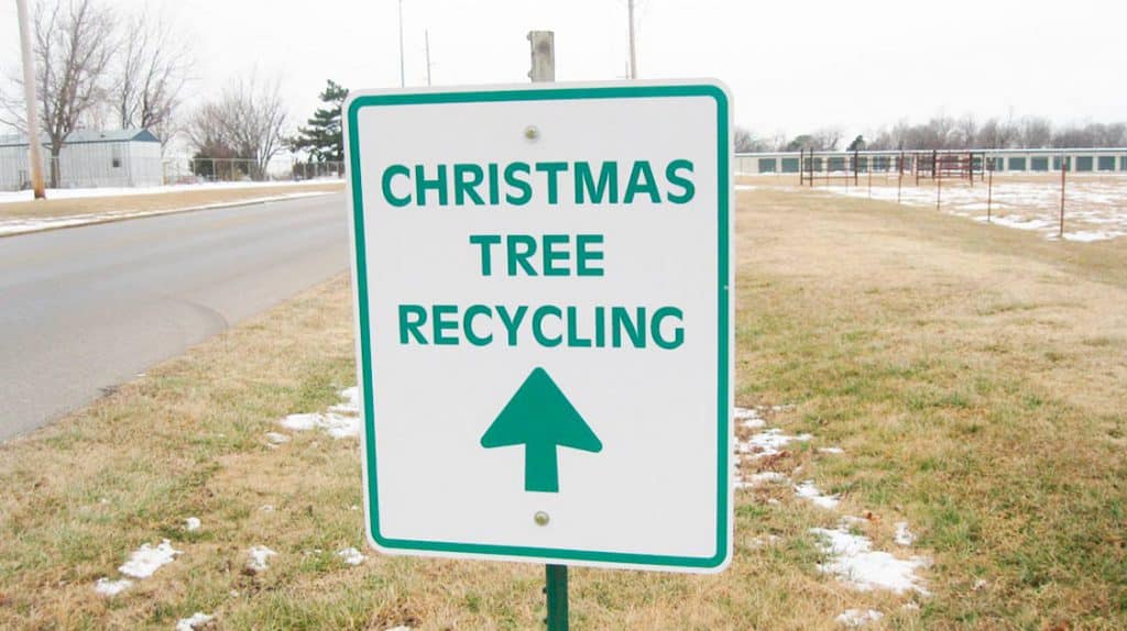 Bios Urn Blog: 10 ways to recycle your Christmas tree
