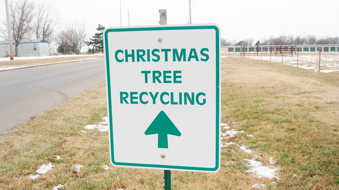 10 Ideas Sostenibles para Reciclar tu Árbol de Navidad