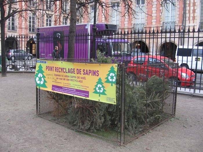 Bios Urn Blog: 10 ways to recycle your Christmas tree / 10 Ideas Sostenibles de Reciclar tu Árbol de Navidad