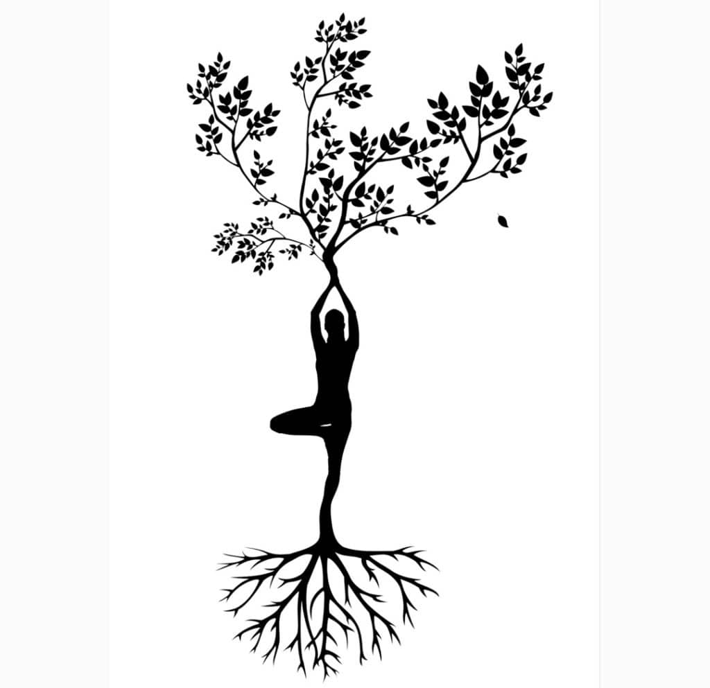 Georgie´s Bios Urn Testimonial, a true story "Why I want a woodland burial" Yoga tree post / Entierro en un bosque con una Urna Bios