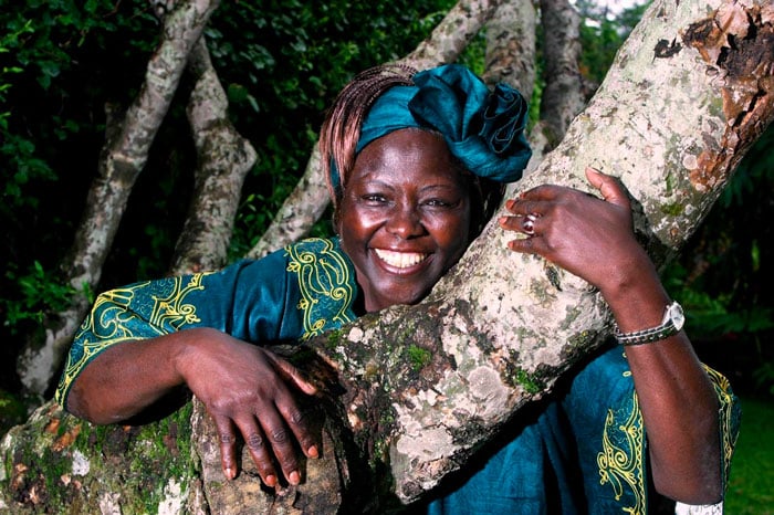 Bios Urn Blog: Wangari Maathai A Risqué Sa Vie Pour La Lutte Du Reboisement