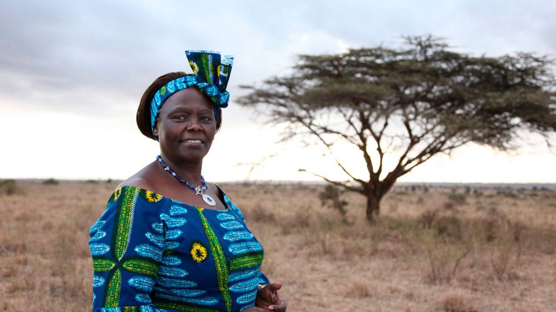 « La Reine Des Arbres »: Wangari Maathai A Risqué Sa Vie Pour La Lutte Du Reboisement