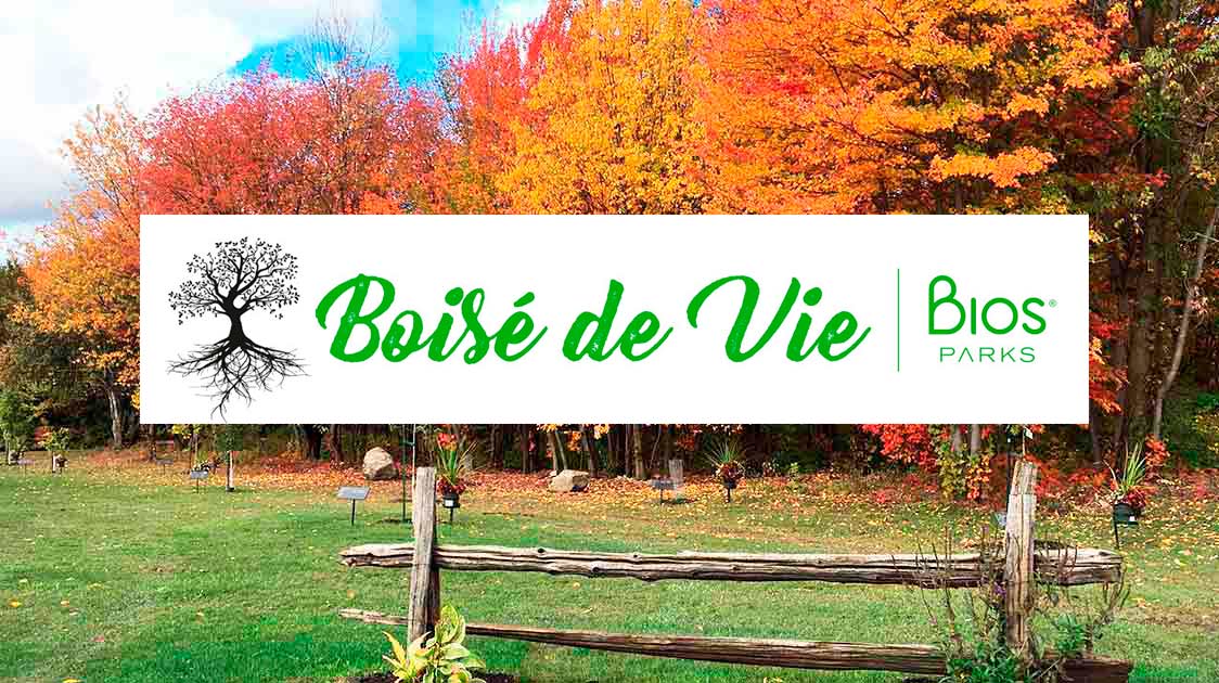 The Very First Bios Park® Is Open In Canada!