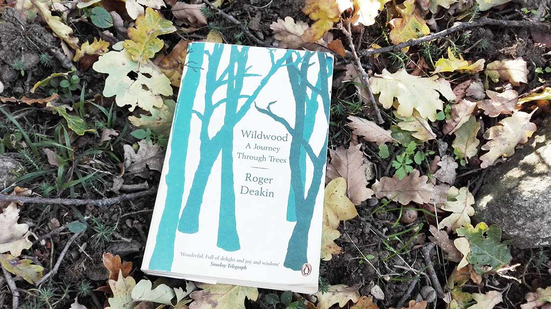 Top 10 Best Books About Trees and Nature
