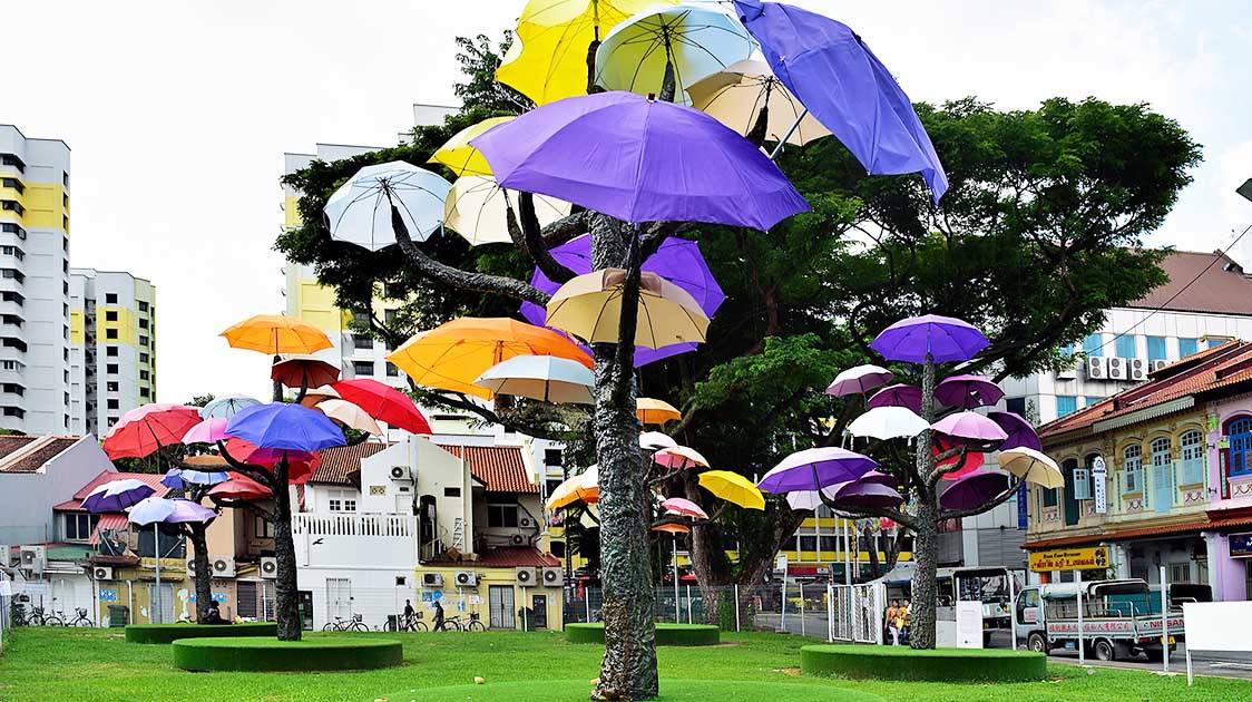 When Nature Meets Art: The Umbrella Trees In Singapore