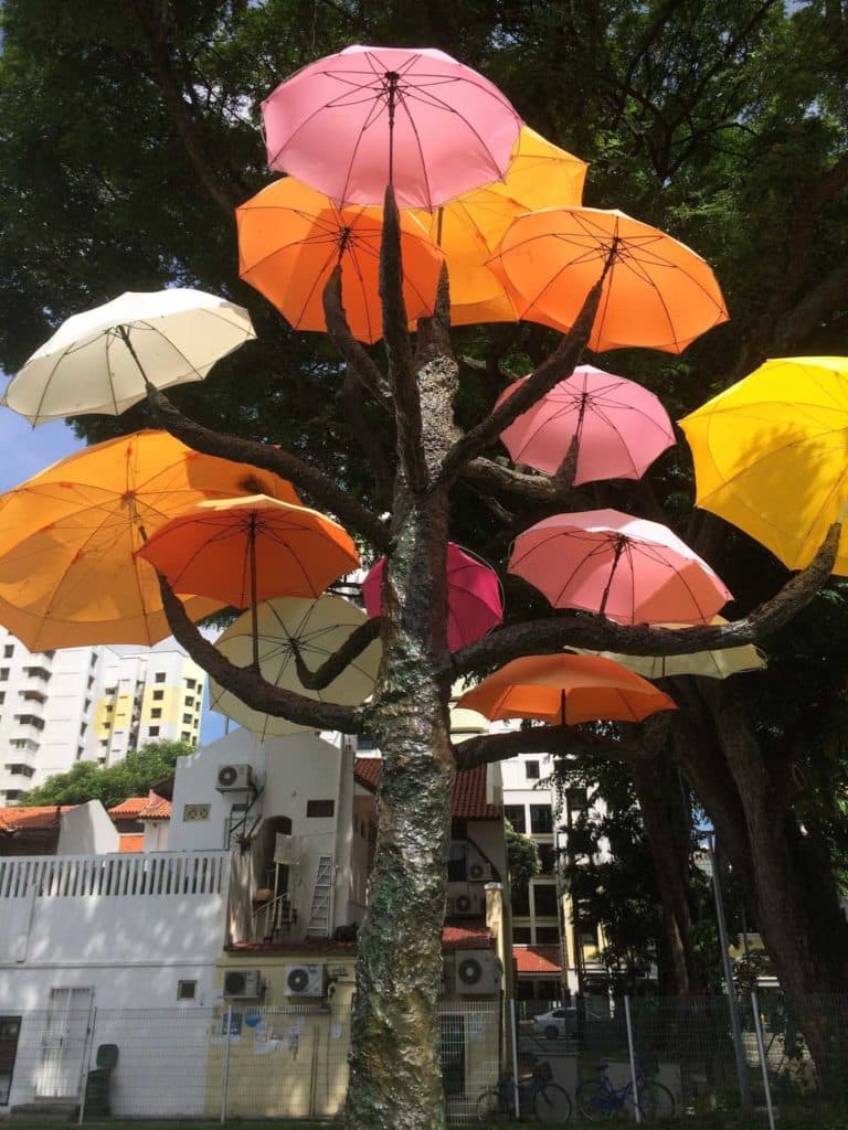 Bios Urn Blog: Umbrella trees in Singapore
