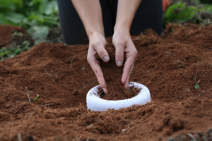 Bios Urn Blog : What to do when someone dies : tips to help deal with the emotions and challenges.