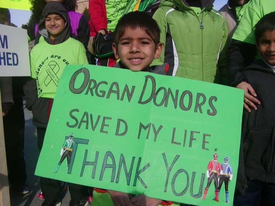 Bios Urn Blog - I Want To First Donate My Organs And Then Become A Tree After I Die