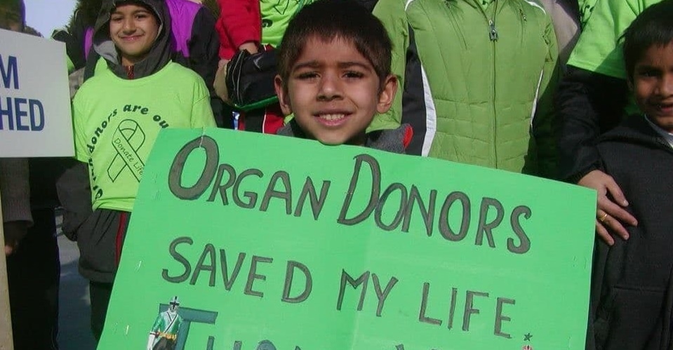 You Can Donate Your Organs And Then Become A Tree After You Die