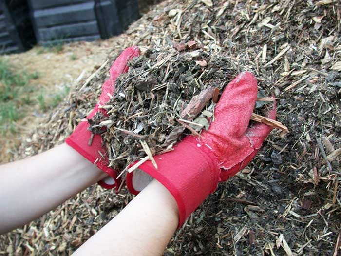 Bios Urn blog: Why Young Trees Need Mulch And How To Make Your Own! / Blog Urne Bios: Pourquoi Les Arbres Ont Besoin De Paillis et Comment Le Faire Chez Soi !