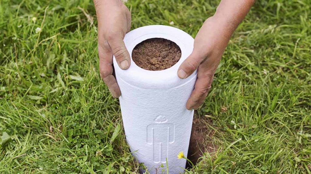 Bios Urn Blog: What Is The Bios Urn Expiration? Can I Wait Before Planting The Tree Urn? / Blog Urne Bios: Expiration de l'urne bios et s'il faut la planter de suite ou pas