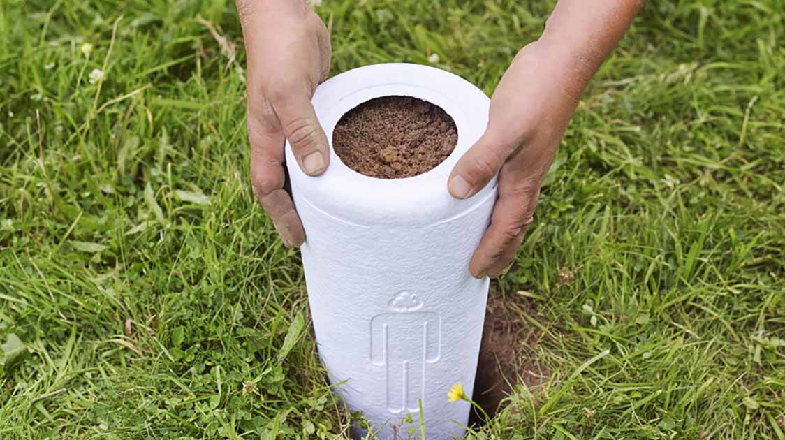 Conservar la Urna Bios® y Plantarla Más Tarde. ¿Es Posible?