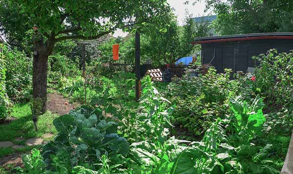 Bios Urn Blog: The rise of permaculture