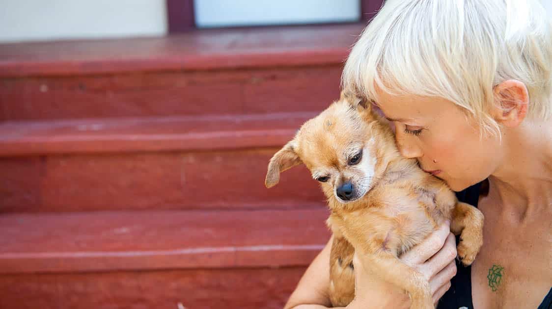 «Cuido A Los Animales Durante El Final De Su Vida» – La Historia de Elizabeth, Fundadora de un Hospicio para Animales