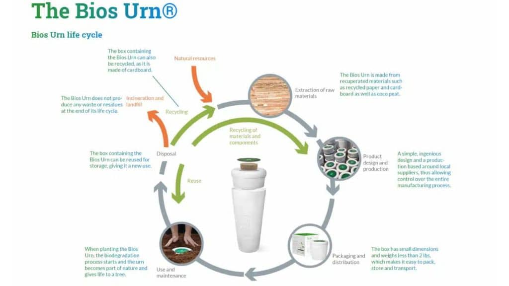 Tackling Plastic Pollution With Simple Solutions - Bios Urn Blog