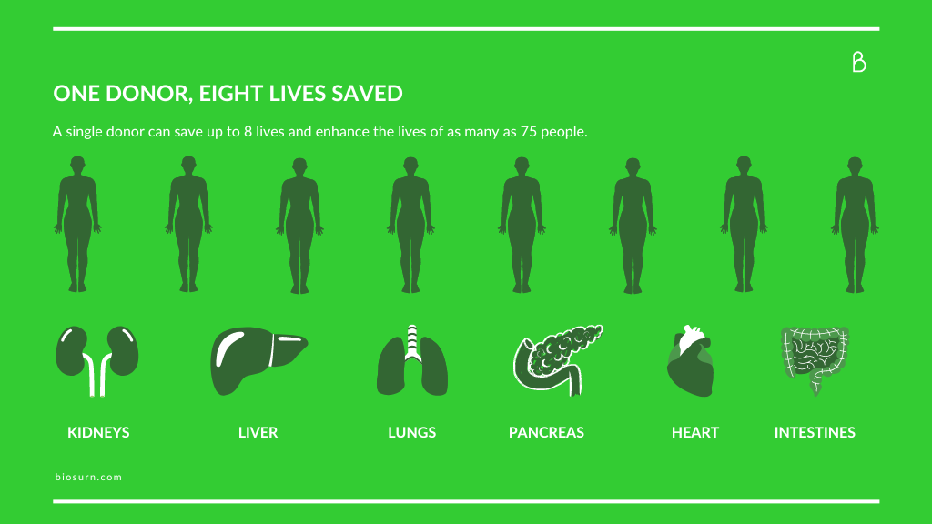 Bios Urn Blog: The Impact of Organ Donation and The Bios Urn®